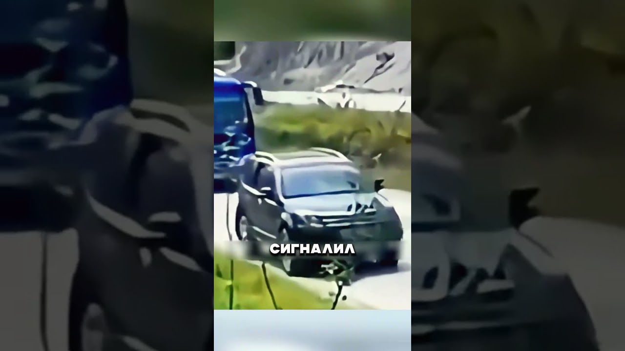 БЫК ПРОТАРАНИЛ МАШИНУ НА АЛТАЕ 🤯