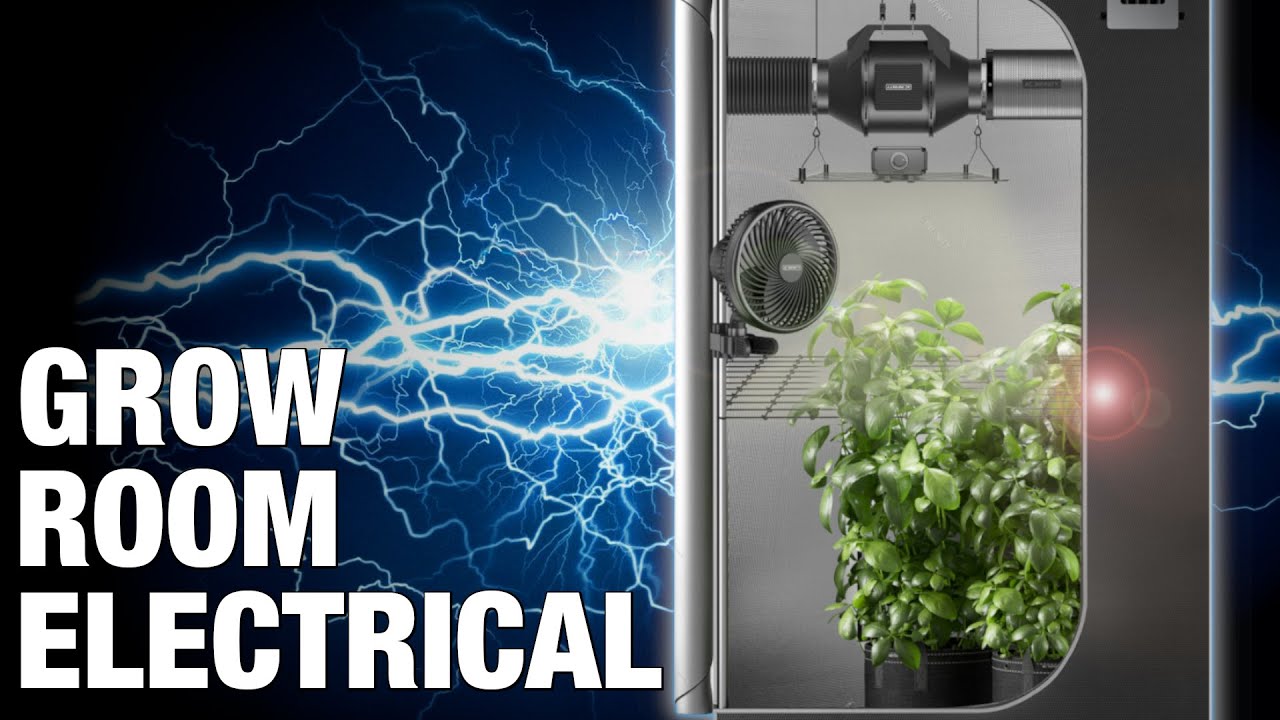 How to POWER your INDOOR GROW ROOM