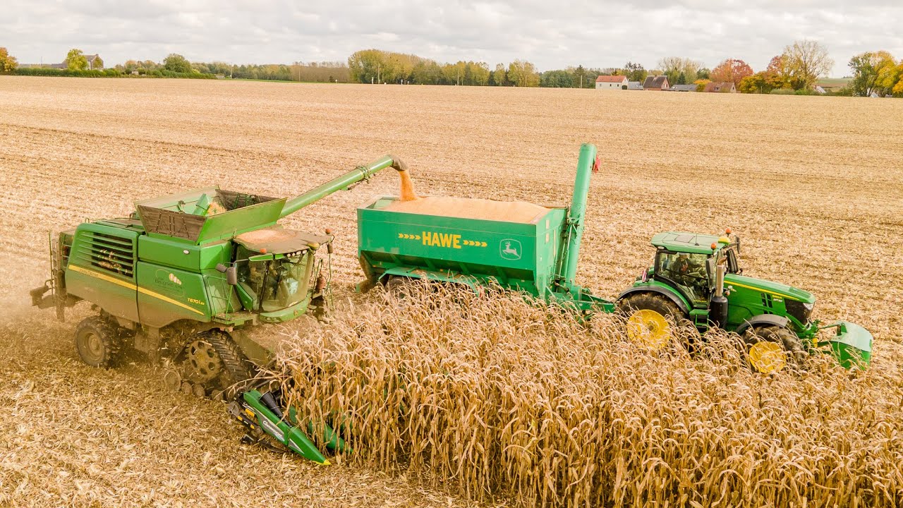 Moisson Maïs Grain | John Deere T 670 i RX & 6250 R | Transbordeur Hawe