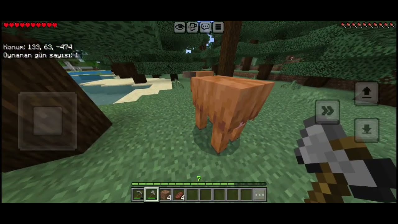 Minecraftta İlk 15 günüm ve Evim. Minecraft bölüm 1 