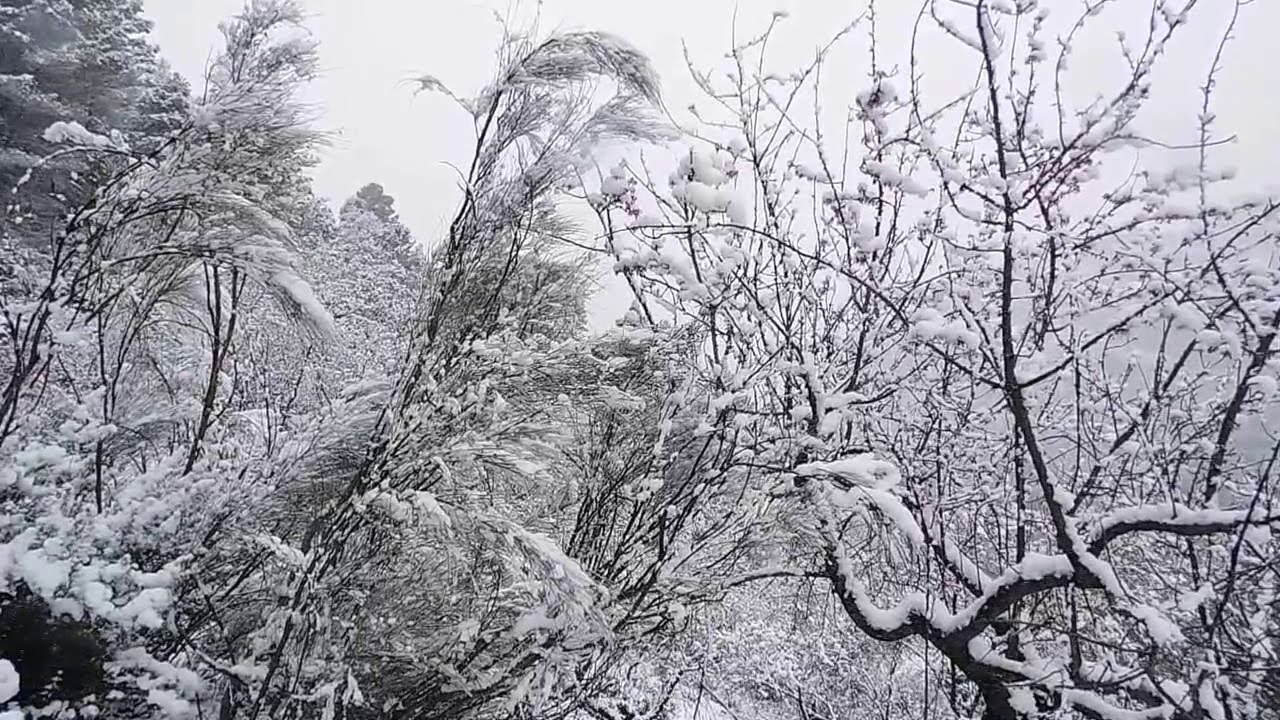 paisajes nevados de bogarra/ albacete /sierra del segura /