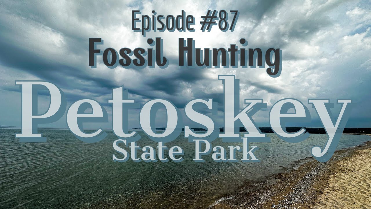 Finding Fossils! Adventure at Petoskey State Park (It Rained Again!)