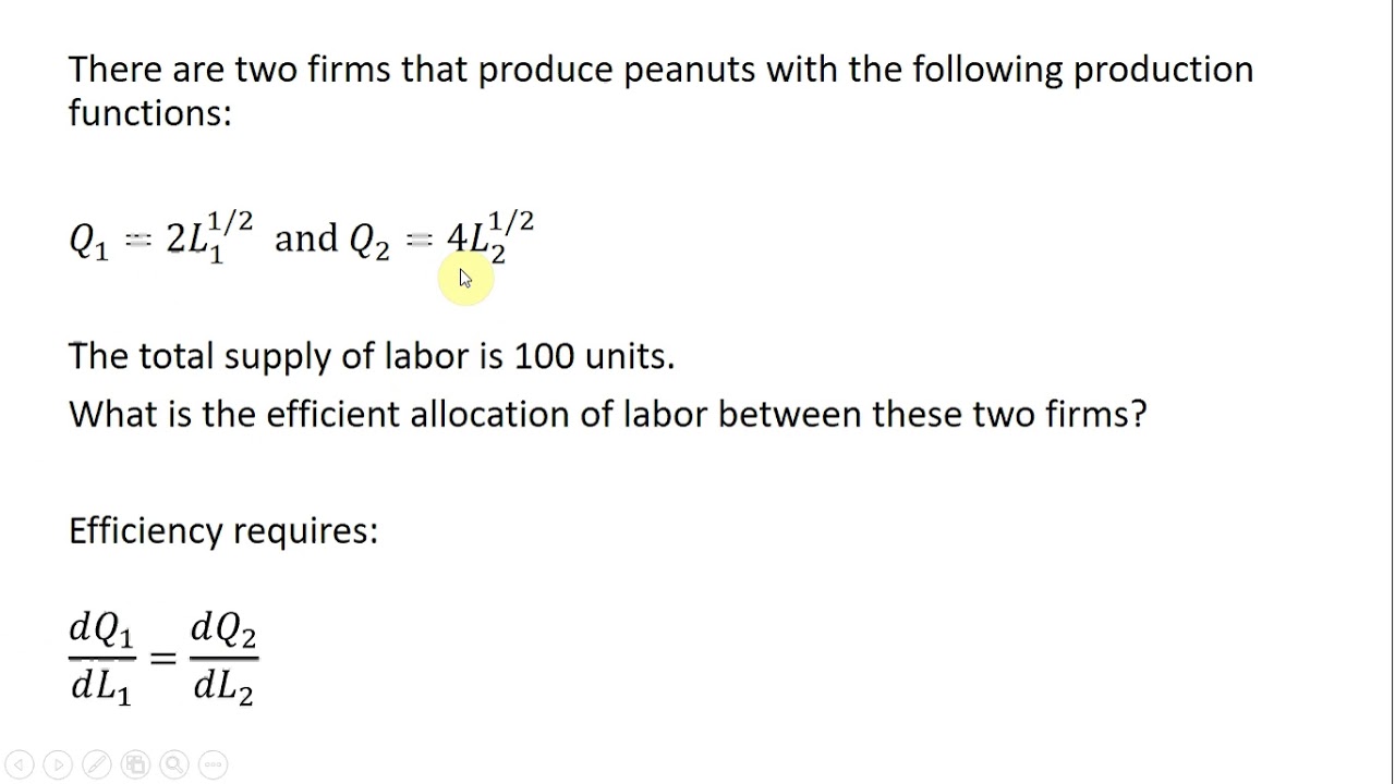 General Equilibrium: The Efficient Allocation of Resources Among Firms