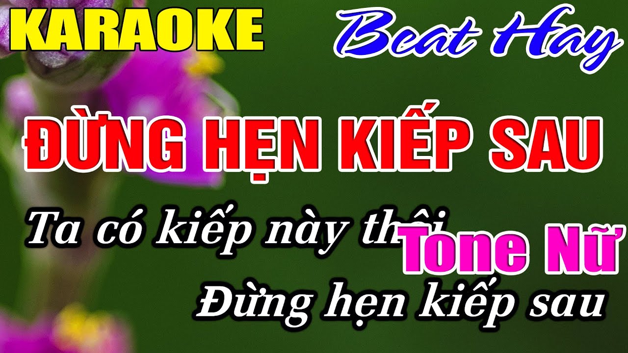 Đừng Hẹn Kiếp Sau Karaoke Tone Nữ Karaoke Hải Nhạc Sống - Beat Mới