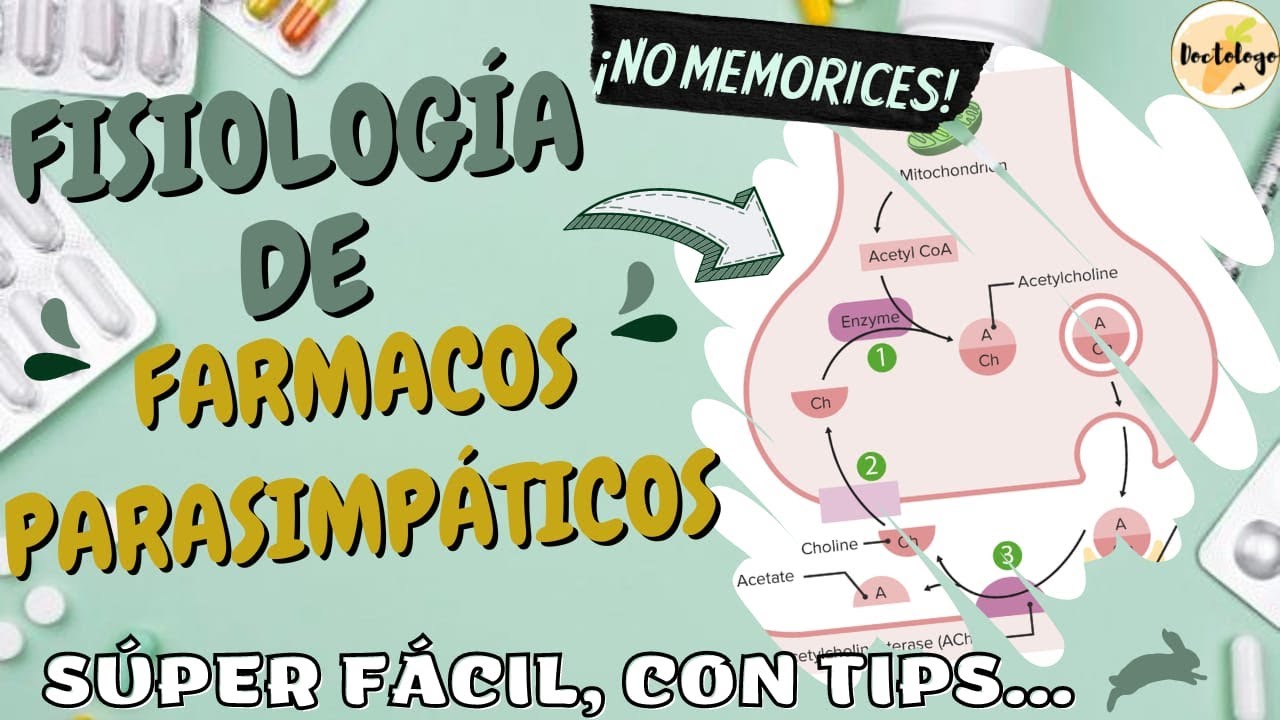 🥕Fisiología de fármacos Parasimpaticomimeticos y parasimpaticoliticos
