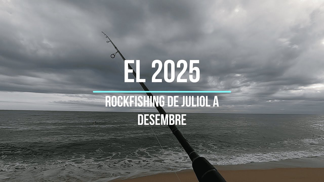 RESUM DEL 2025