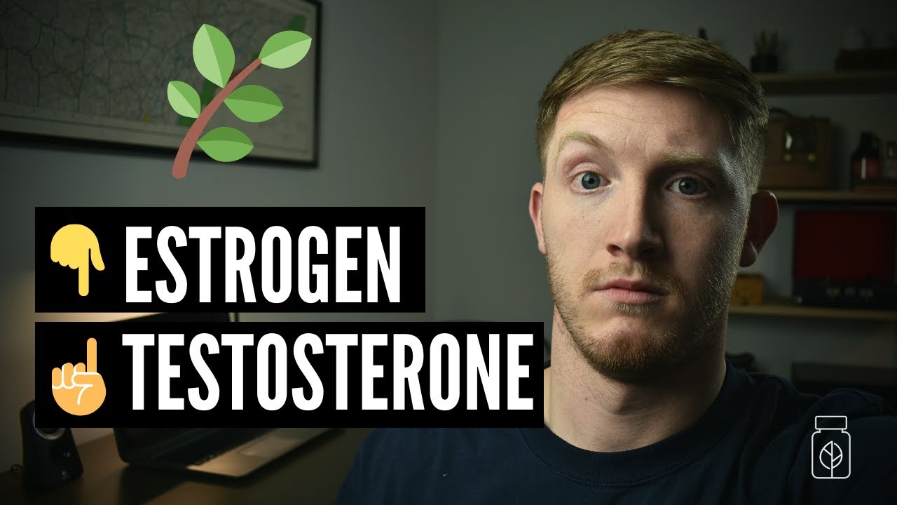 Tongkat Ali Benefits | Increase Testosterone + Decrease Estrogen