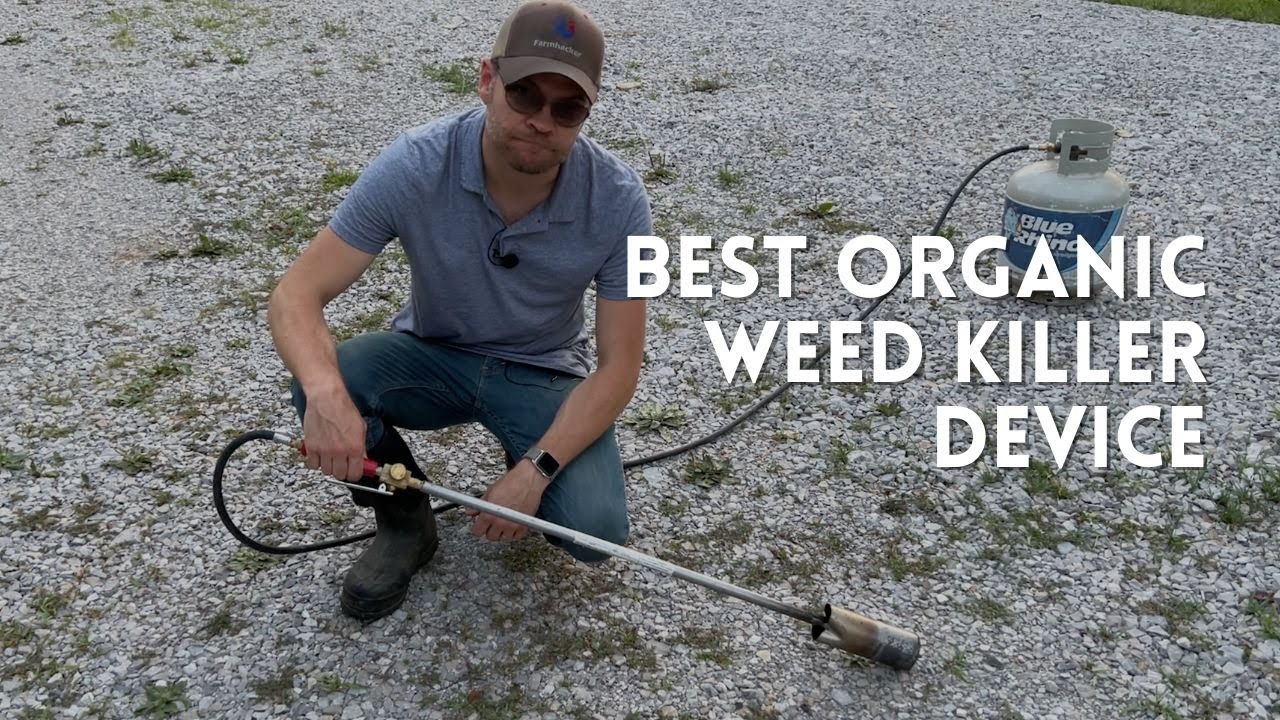 The Best Organic Weed Killer Device
