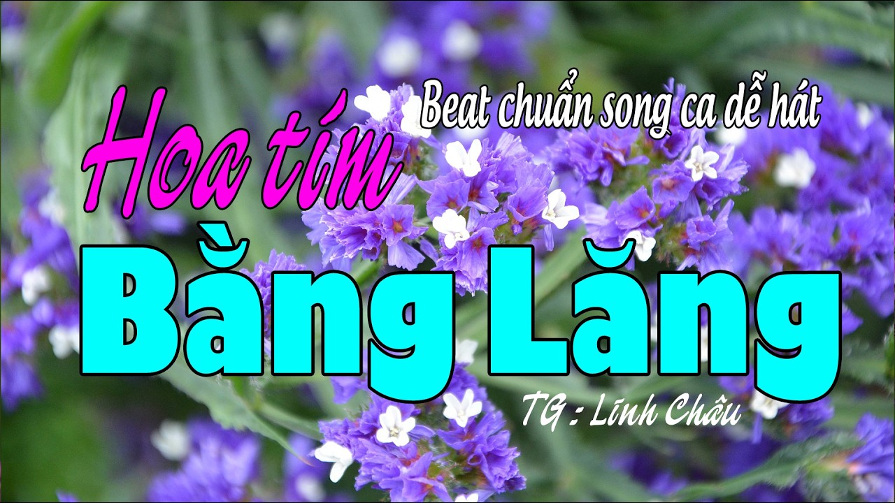 Karaoke Song Ca Vọng Cổ Hoa Tím Bằng Lăng | Beat Chuẩn Dễ Hát