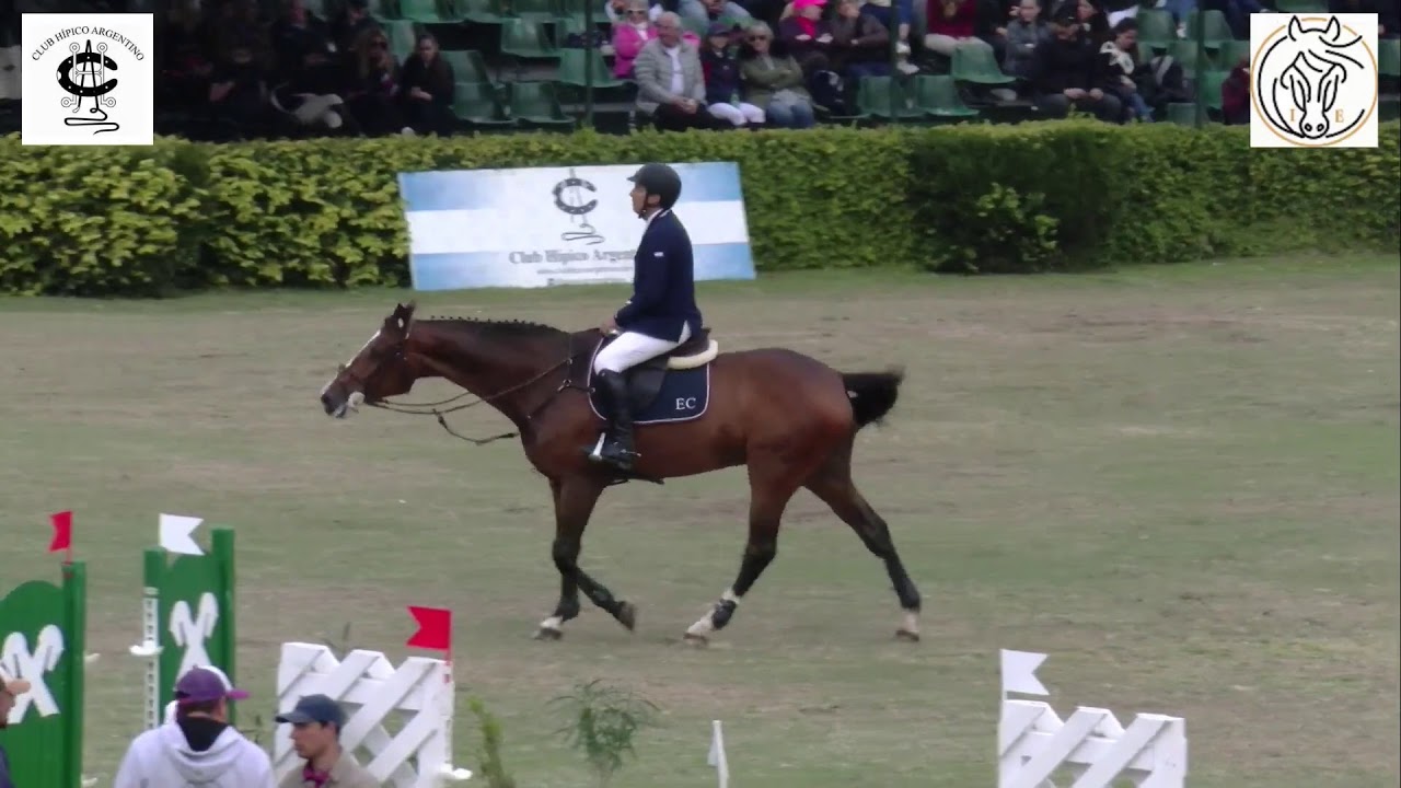 CLUB HIPICO ARGENTINO - GRAN PREMIO 8 DE SEPTIEMBRE 2019
