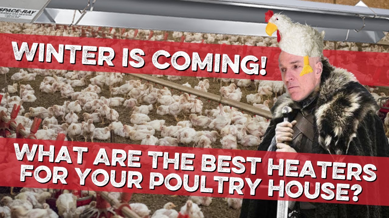 Poultry House Heater Comparison - Tube Heaters v. Pancake Heaters. Which is better?