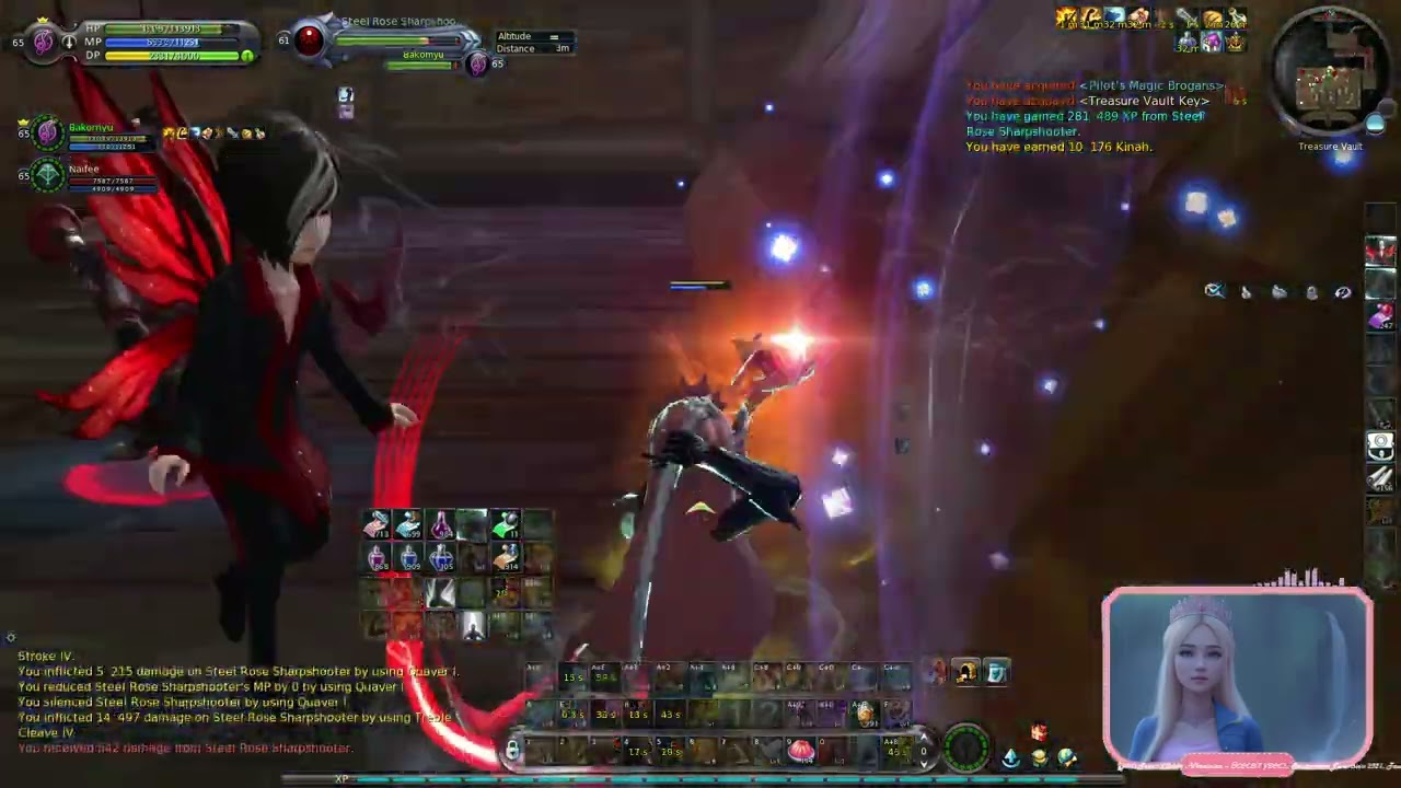 Aion 4.6 - Daily farm - Steel Rose 2/3