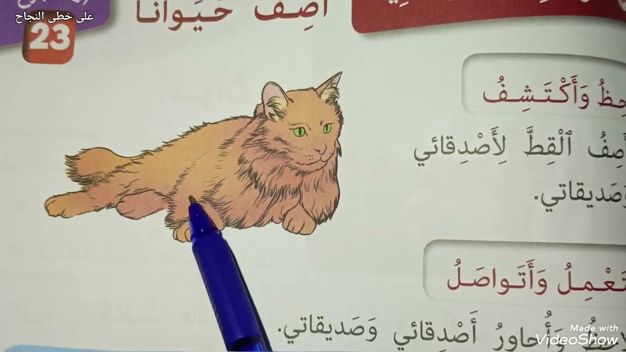 الوضعية التواصلية اصف حيوانا كتابي في اللغة العربية الثاني ابتدائي ص 111