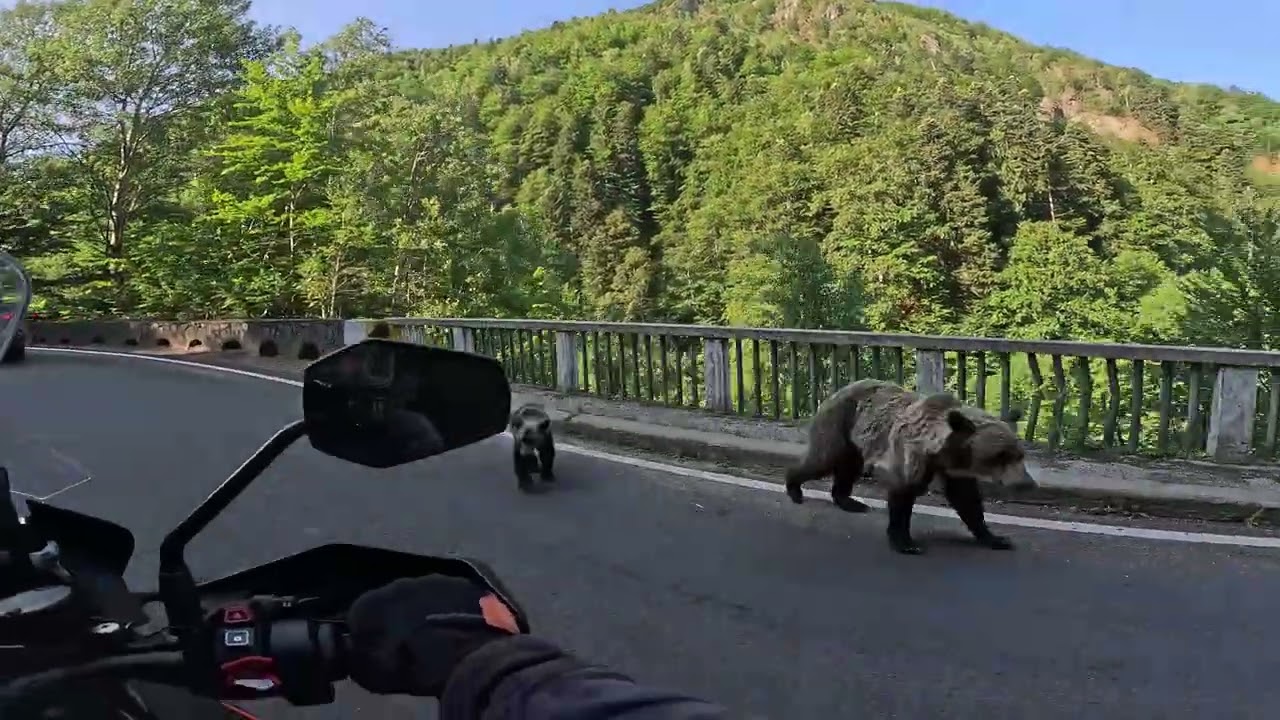 Kelionė motociklu, Rumunija - Lietuva pro Transfagarasan
