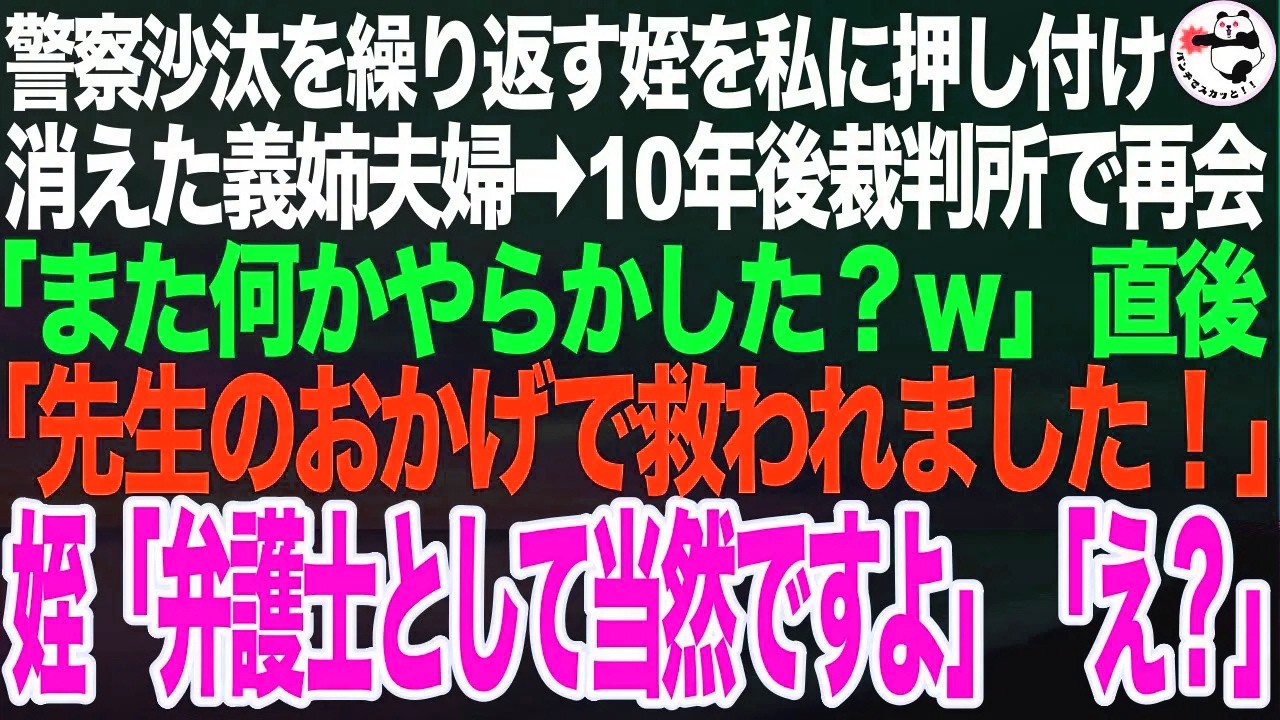問題児で警察沙汰を繰り返す姪を私に押し付け消えた義姉夫婦➡︎10年後裁判所で再会すると「また何かやらかした？ｗ」➡︎直後「先生のおかげです！」姪「弁護士として当然ですよ」義姉夫婦「え？！」【スカッと】