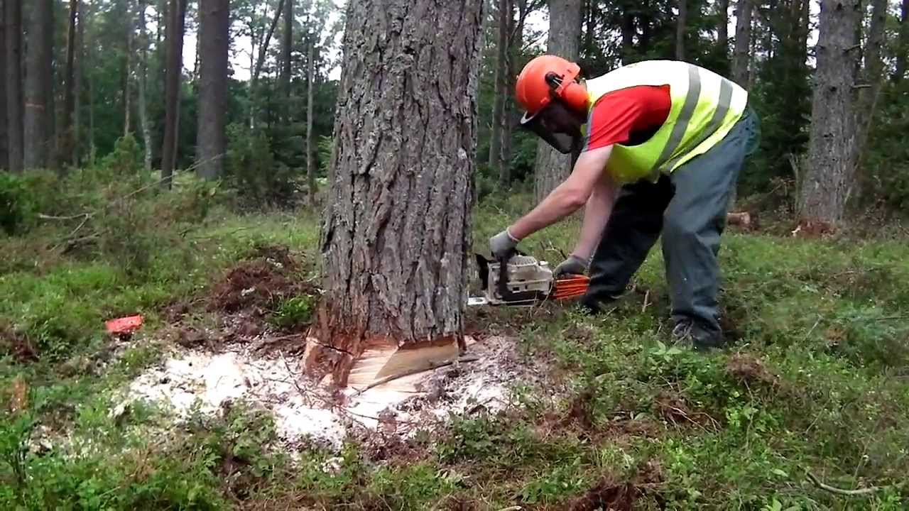 kurs pilarza-akademia aktywizacji- cz. I- Miastko