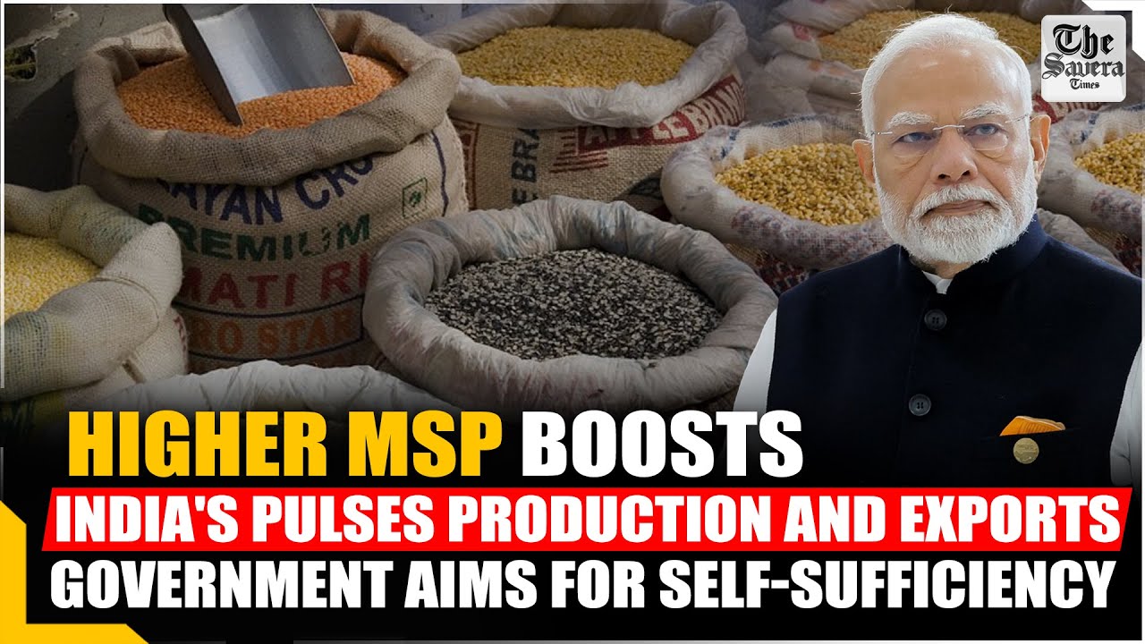 Higher MSP Boosts India's Pulses Production and Exports, Government Aims for Self-Sufficiency