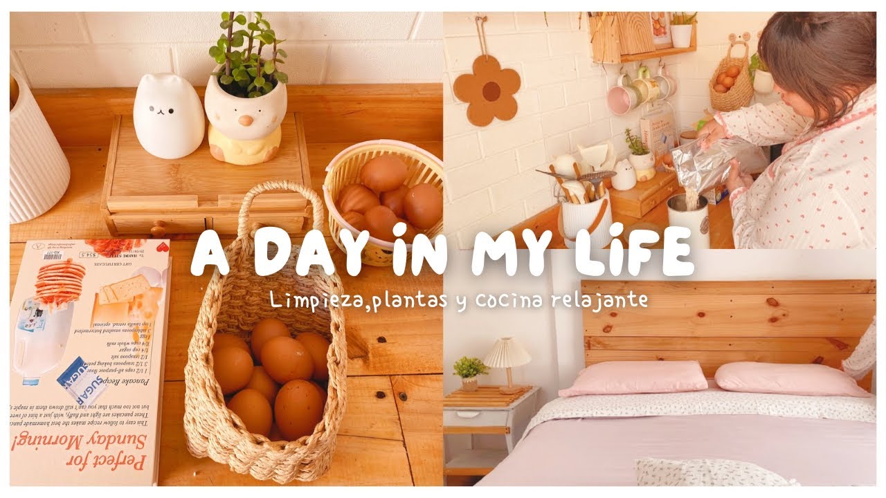 Mi rutina productiva en casa para sentirme en paz| Limpieza,plantas,restock y cocinar🪴