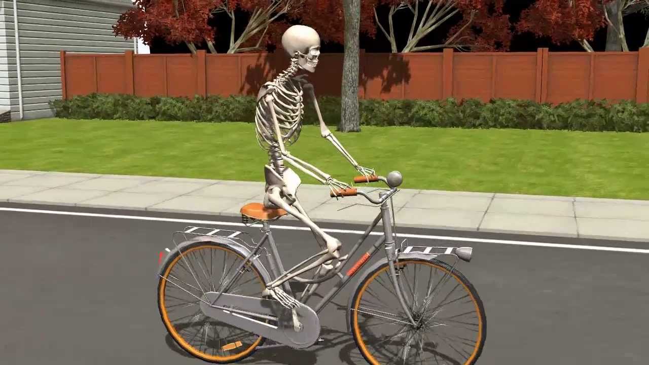 Skeleton bici