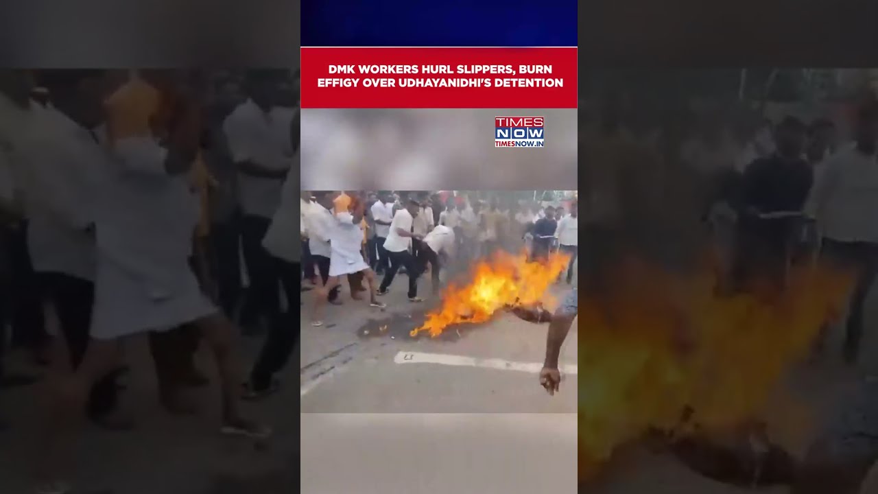 DMK Workers Hurl Slippers, Burn Effigy Over Udhayanidhi Stalin's Detention | Trisha Remark Row