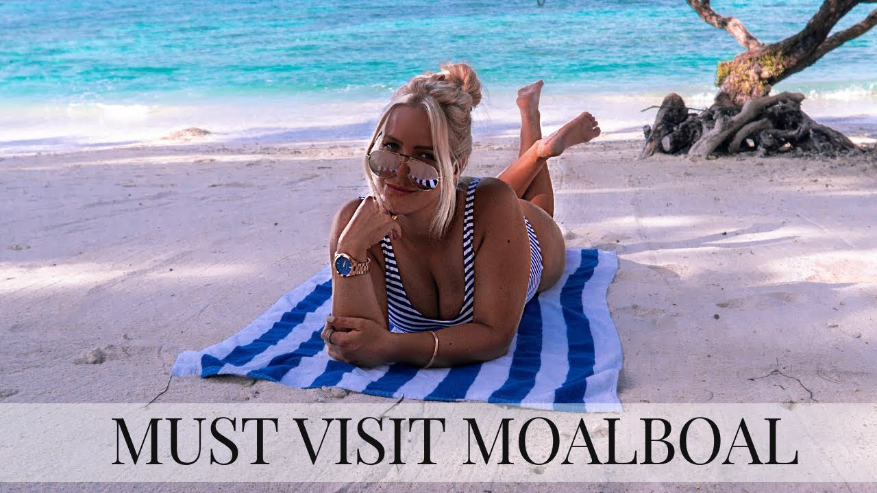 MOALBOAL SNORKELING THE SARDINE RUN | CEBU PHILIPPINES