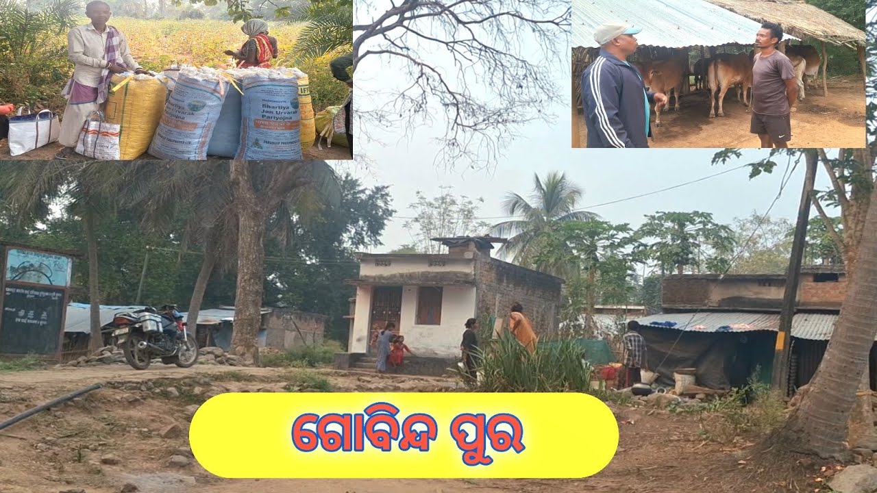 #Gajapati dist-Gobindpur village 