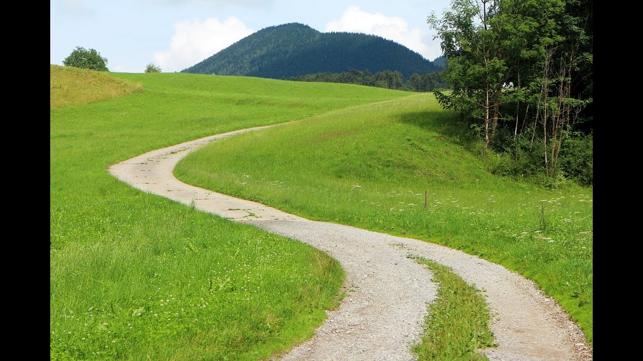 Mein Weg ins Medizinstudium, Mongo-Mahlzeit in der Prüfungsphase, beste Pepsi!