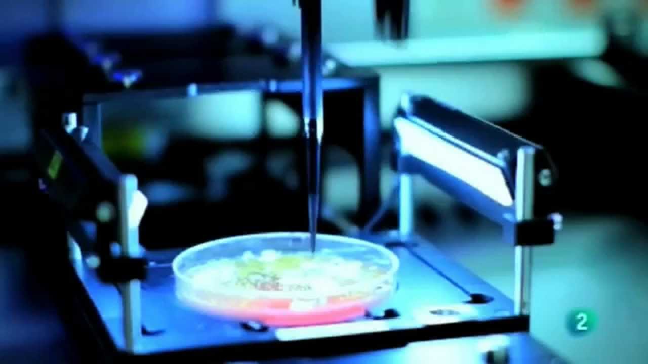 BTI Biotechnology Institute en el programa El Exportador de La 2