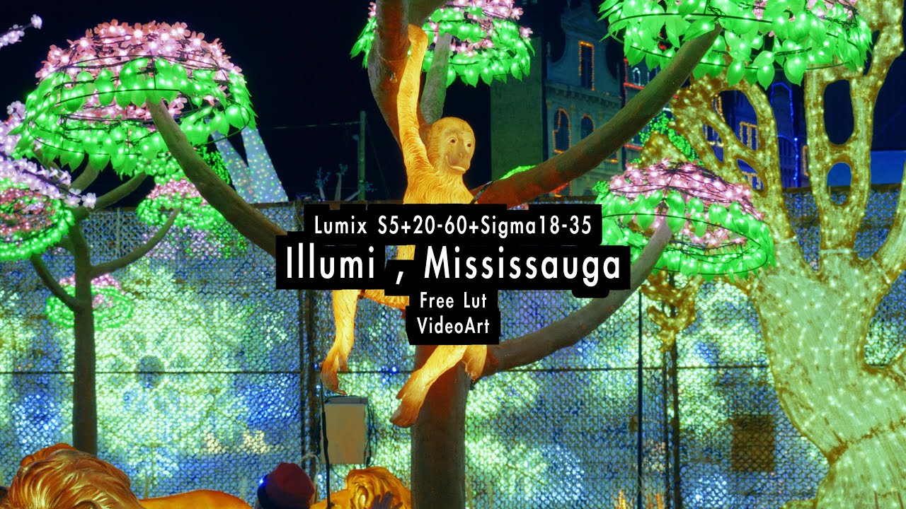 Illumi | Lumix S5+20-60+Sigma 18-35 | Free Lut | VideoArt |