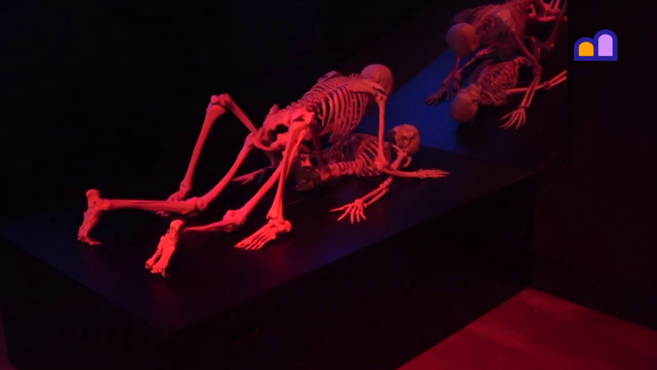 Australia - Hobart - MONA