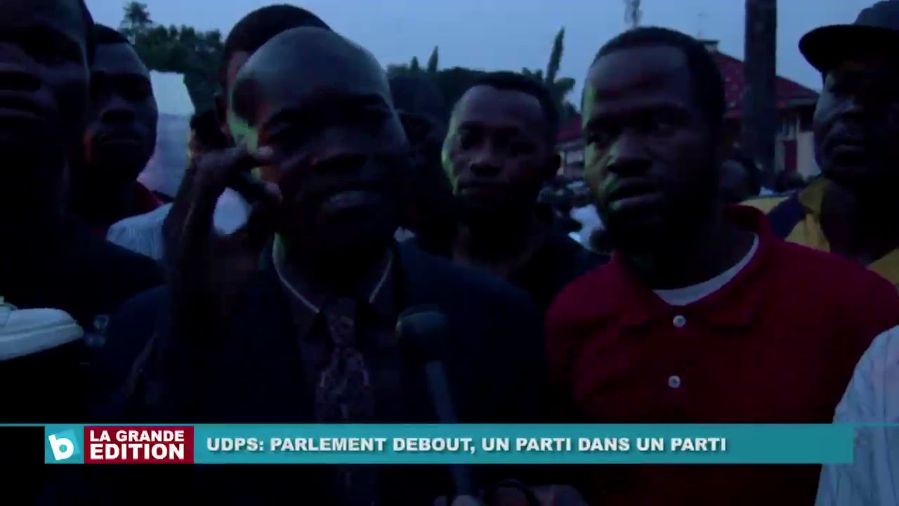 UDPS: Parlement debout, un parti dans un parti