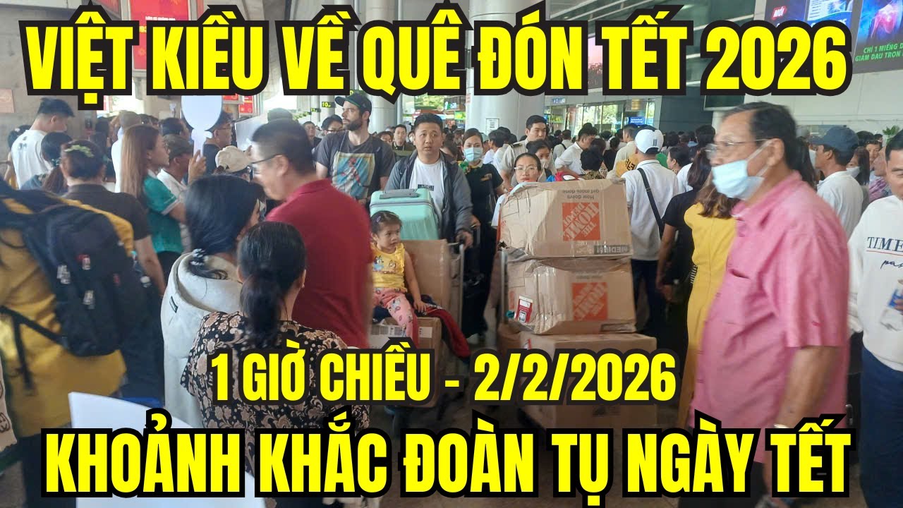 Đông đảo Việt kiều về quê ăn Tết 2026, không khí đoàn viên tại sân bay Tân Sơn Nhất