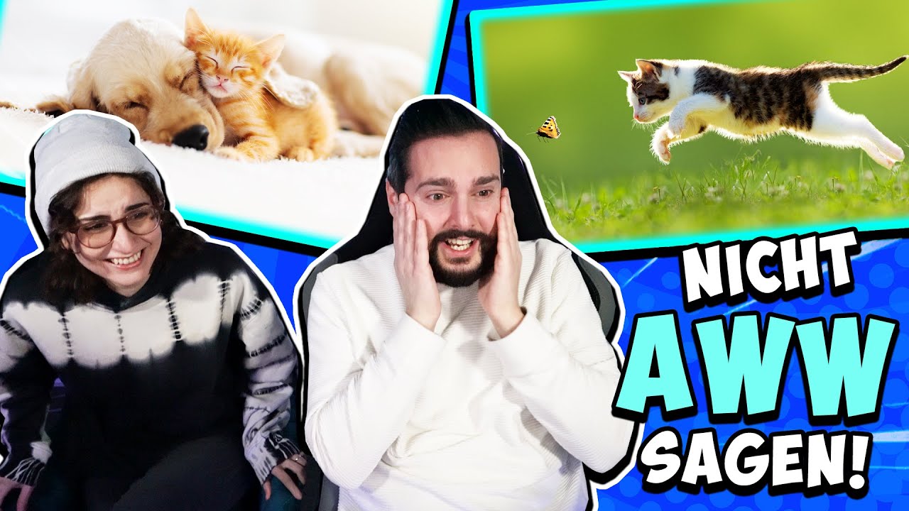 NICHT AWWW SAGEN CHALLENGE 4.0! Wir reagieren auf süße Tierbabys! EINFACH NUR ZUCKER!