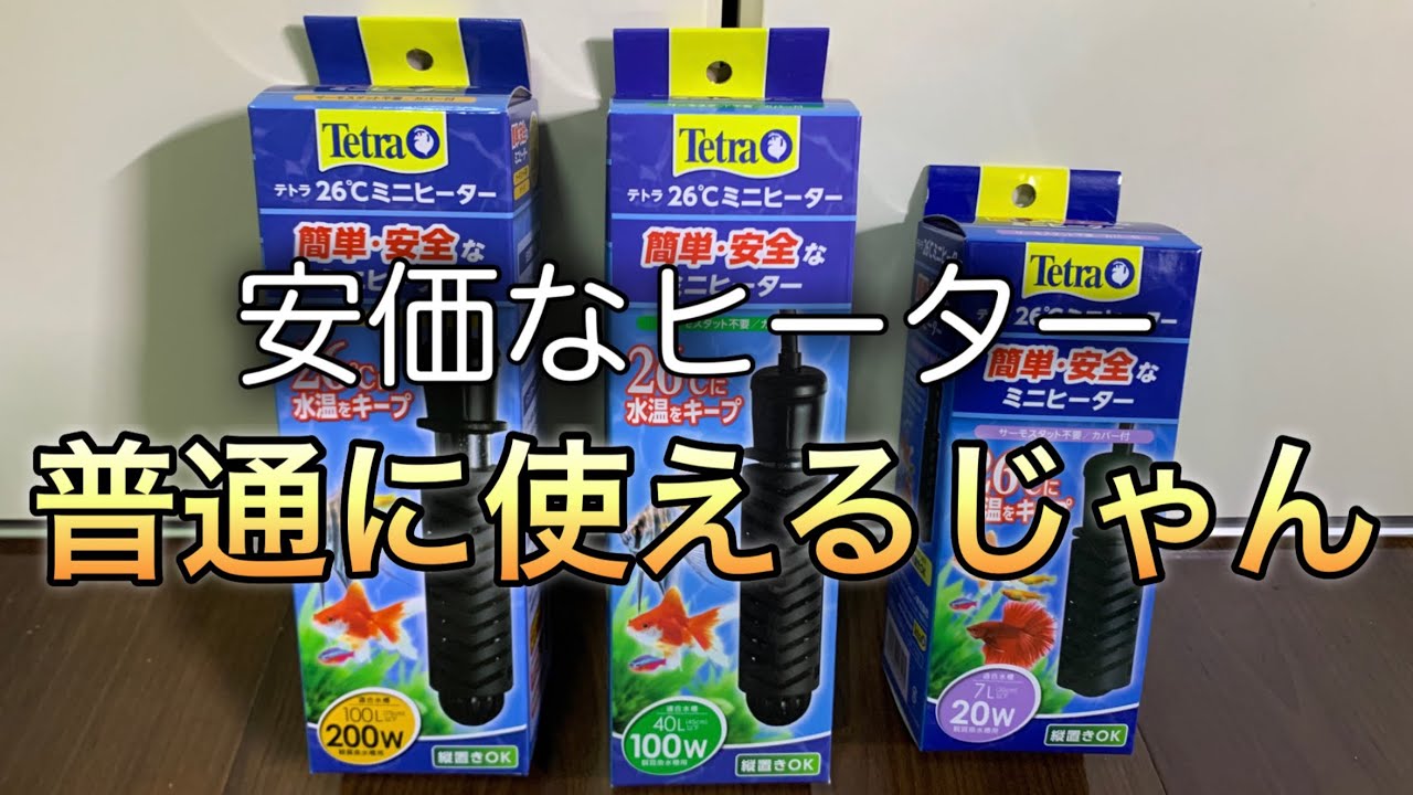絶対に買うべき！テトラ26°ミニヒーターで、この冬は越せる！