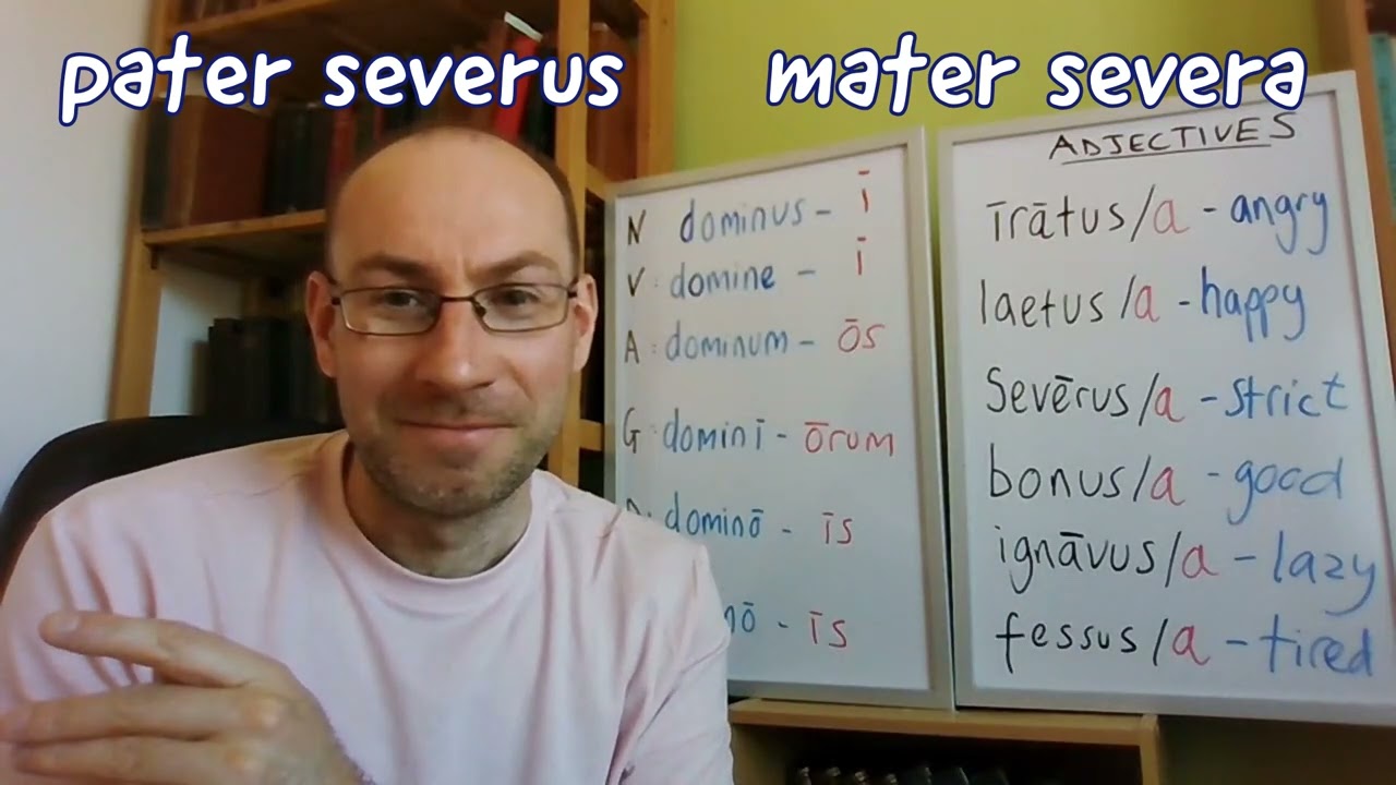 Lesson 2.7: Adjectives in Latin
