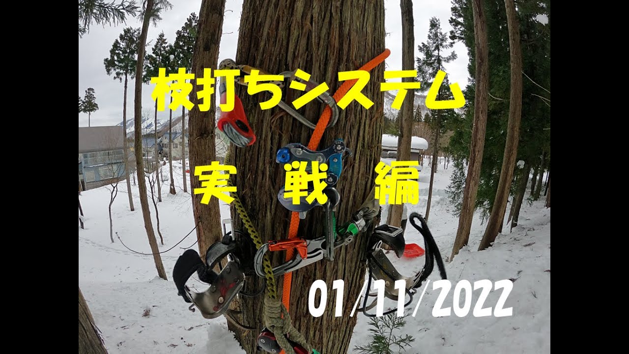 枝打ちシステム実戦編:大源太農園20220111
