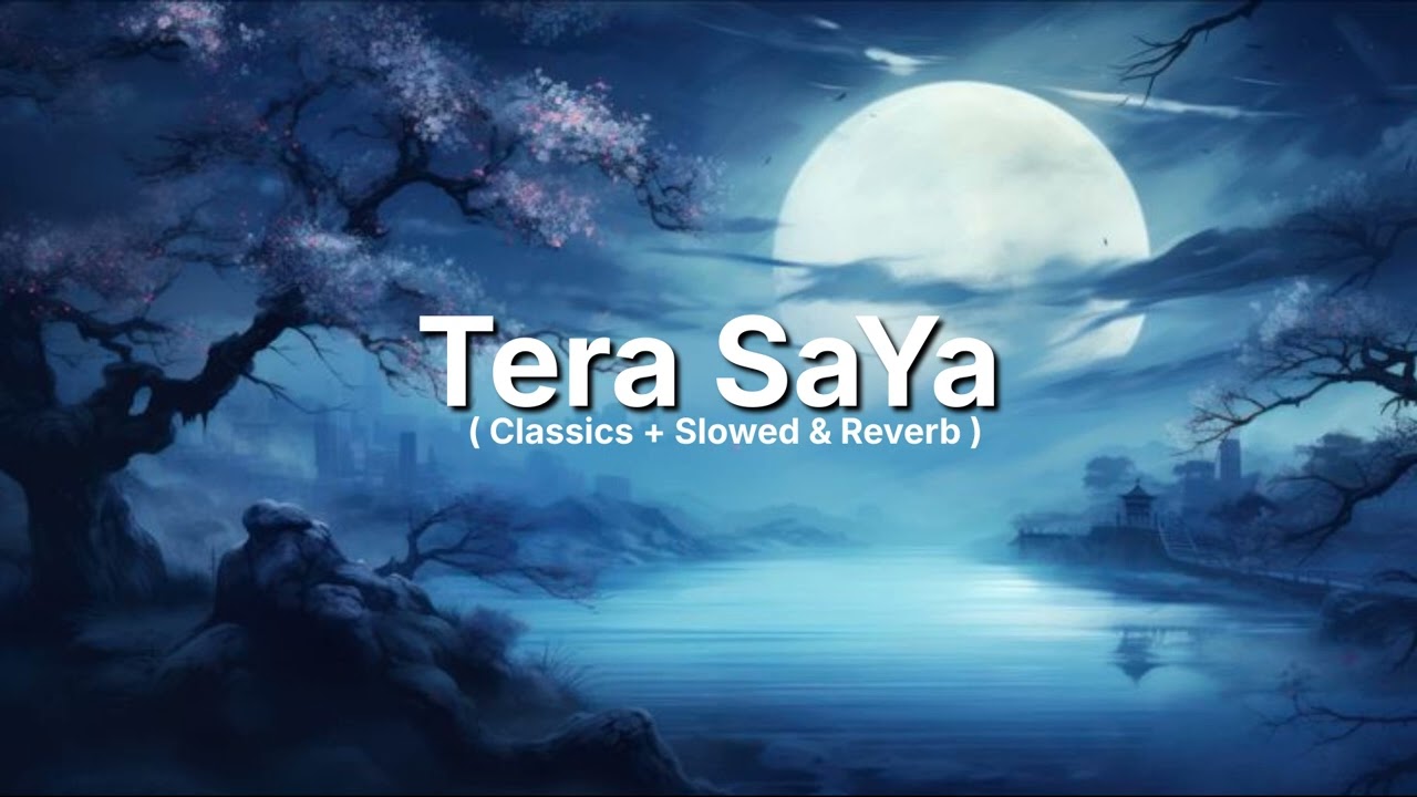 Tera Saya - ( Official Release ) | Lofi Music | New Song 2025 | Devel Beats