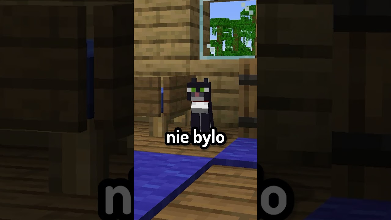 DZIWNA SYTUACJA w Minecraft