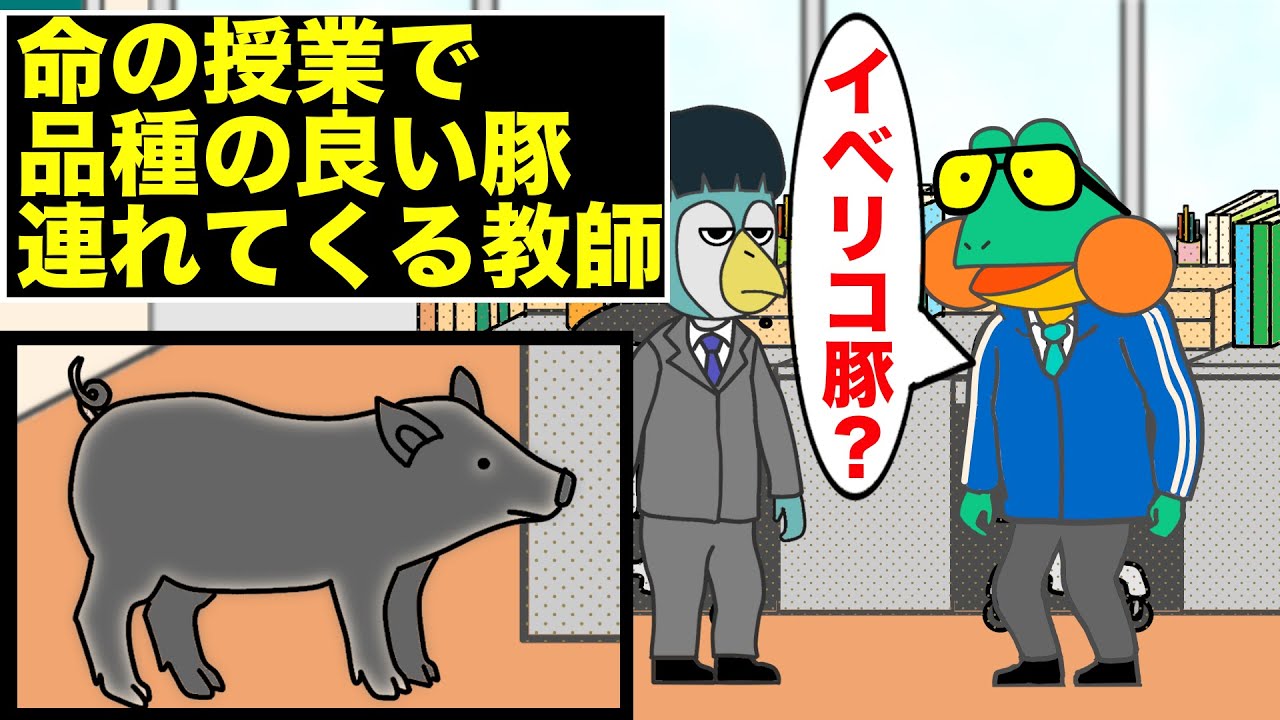 命の授業の豚がイベリコ豚【コント】【アニメ】