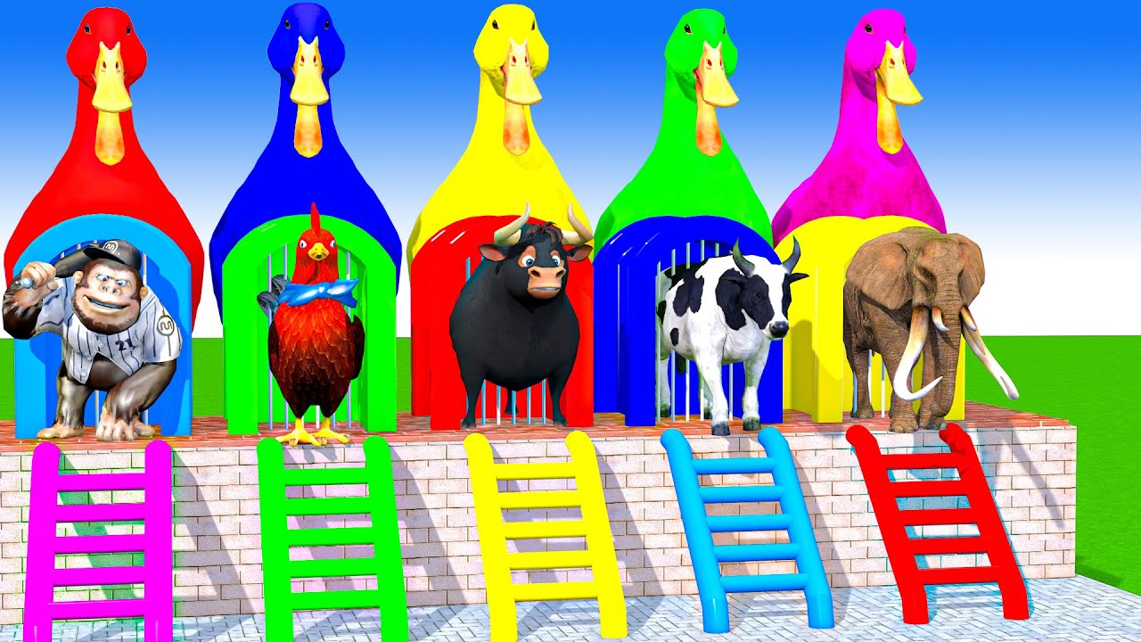 Long Slide Game With Cow Elephant Gorilla Hippopotamus Tiger 3d Animal Game Funny 3d Animals