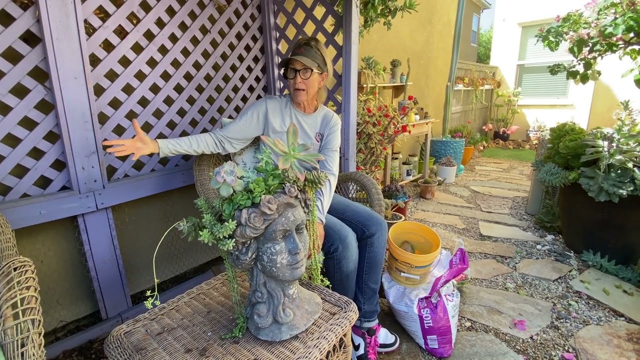 Summer Succulent Hack on Sunday Funday!