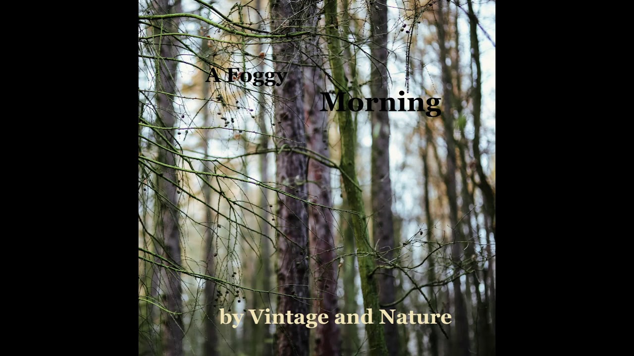 Meditative Folk Song - A Foggy Morning