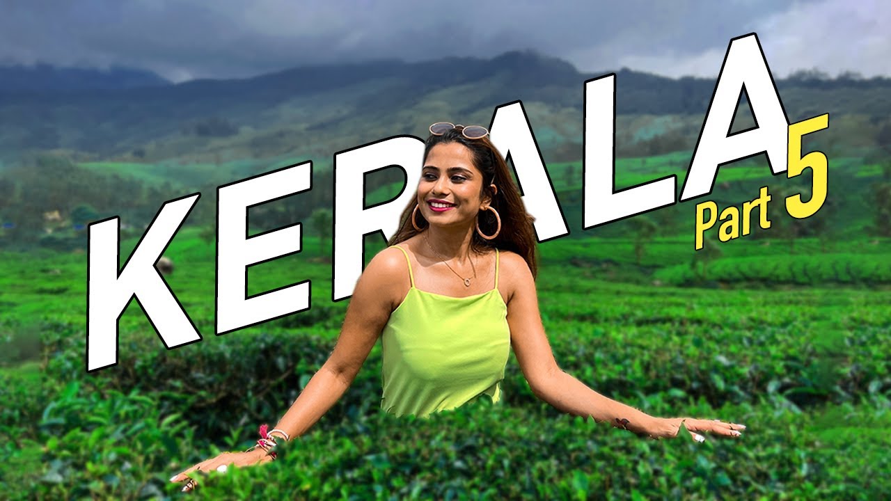 Lush Green Tea Plantations of Munnar - Spice Garden Tour - Elephant Safari - Kerala Tourism Part 5