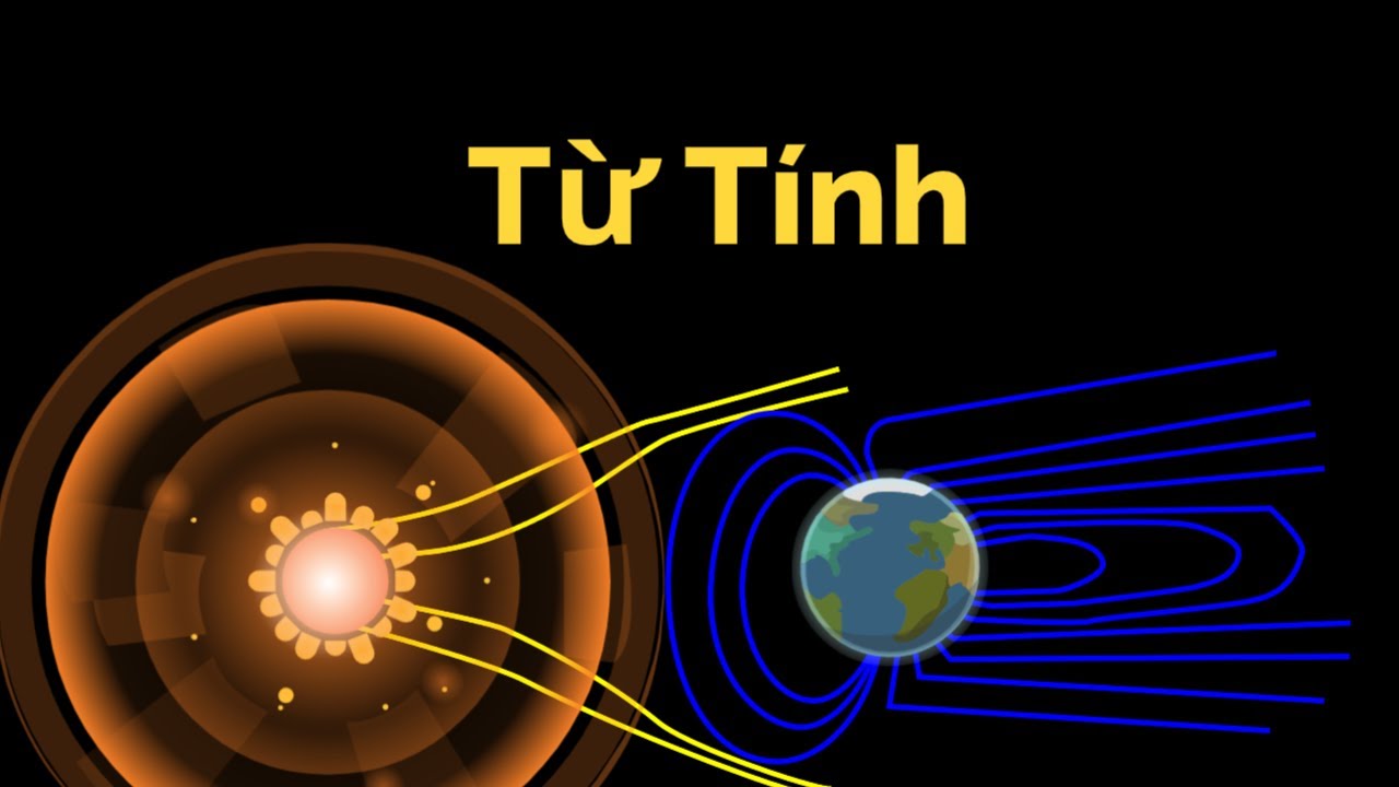 Từ T&iacute;nh - Vật L&yacute; Học Tập 32 | Tri thức nh&acirc;n loại