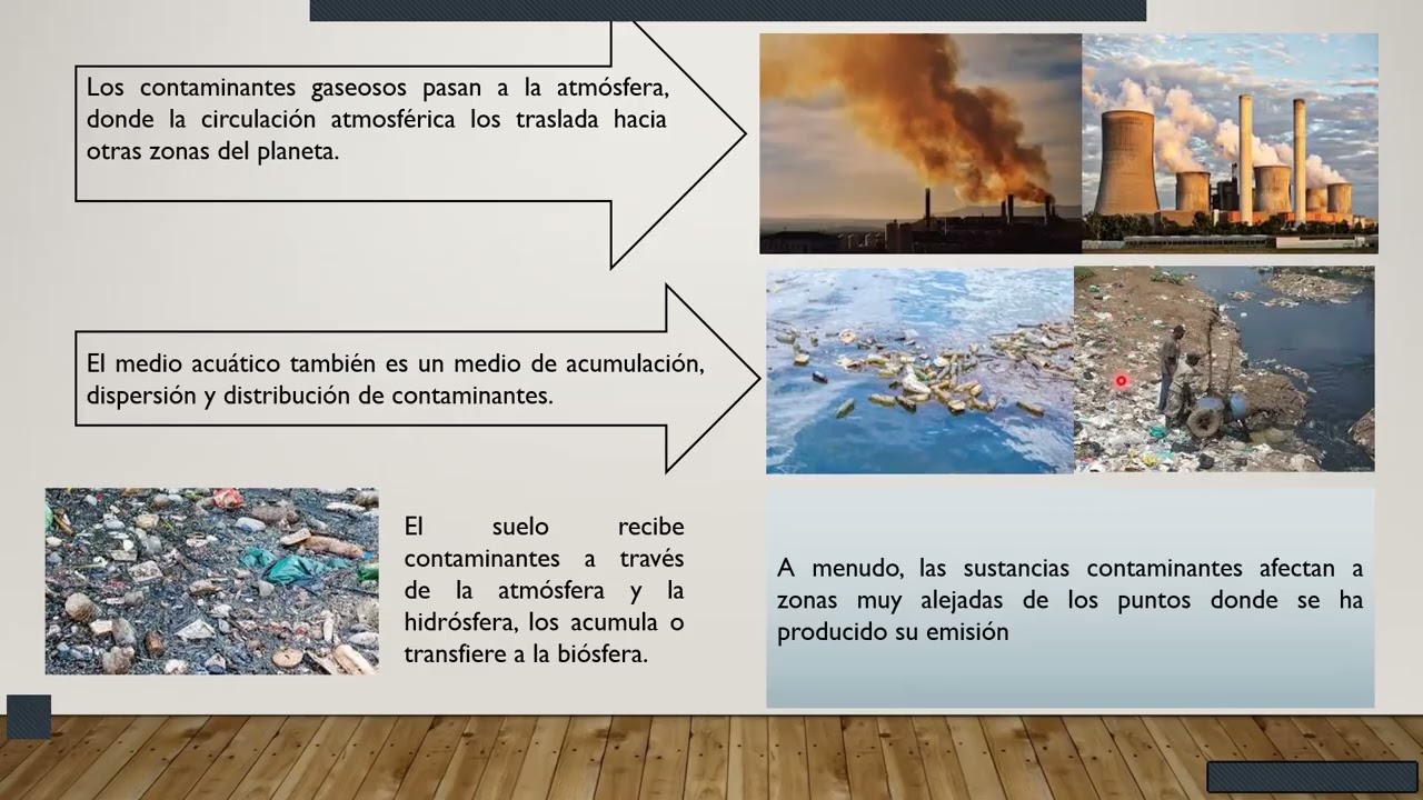 IMPACTOS DE LAS ACTIVIDADES HUMANAS EN LOS ECOSISTEMAS
