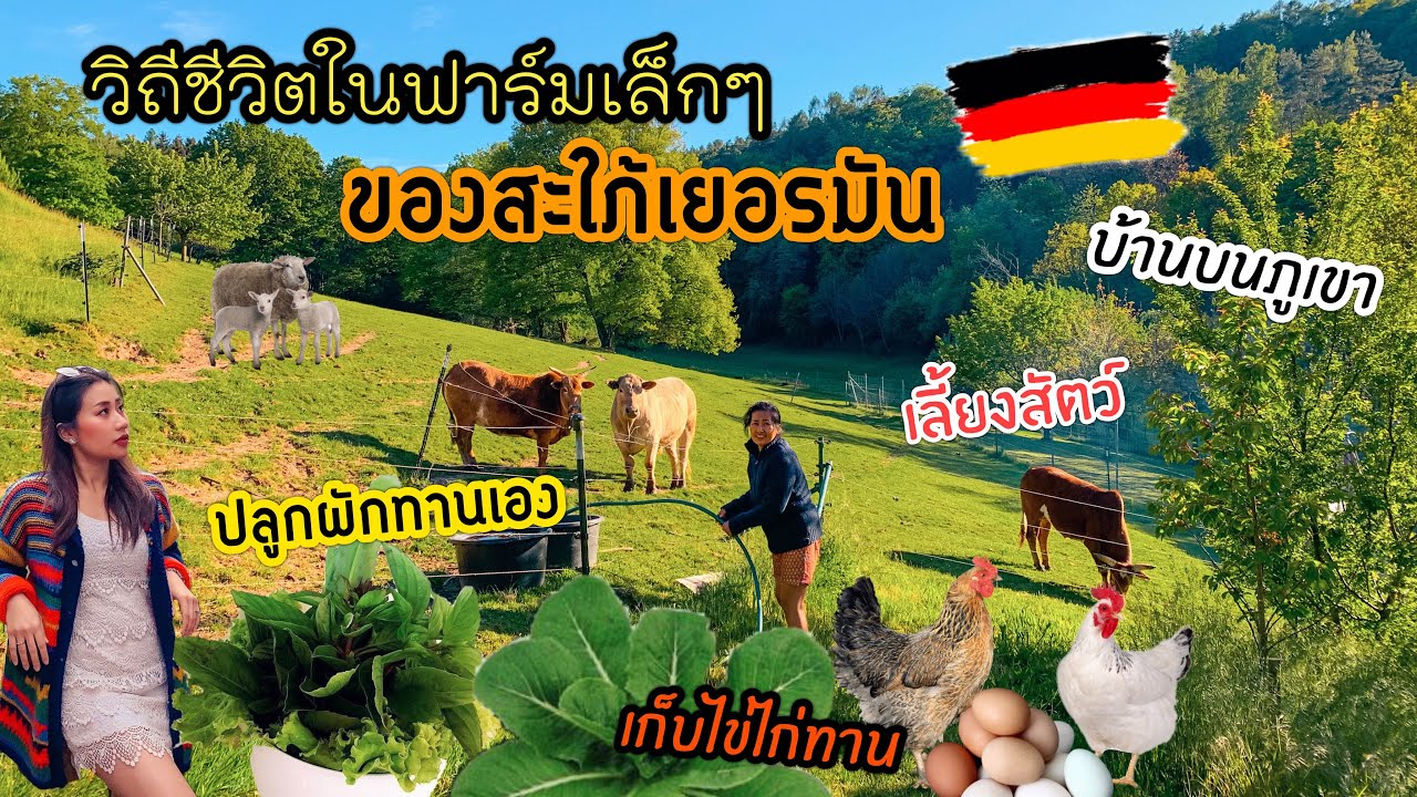 วิถีชีวิตชนบทของสะใภ้เยอรมัน🇩🇪ปลูกผักทานเอง,เก็บไข่ไก่จากเล้า,ชีวิตในฟาร์มเล็กๆ|เที่ยวกับแม่ EP.16