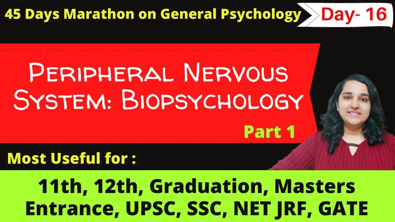 Peripheral Nervous System in hindi| Somatic Nervous System| Mind Review