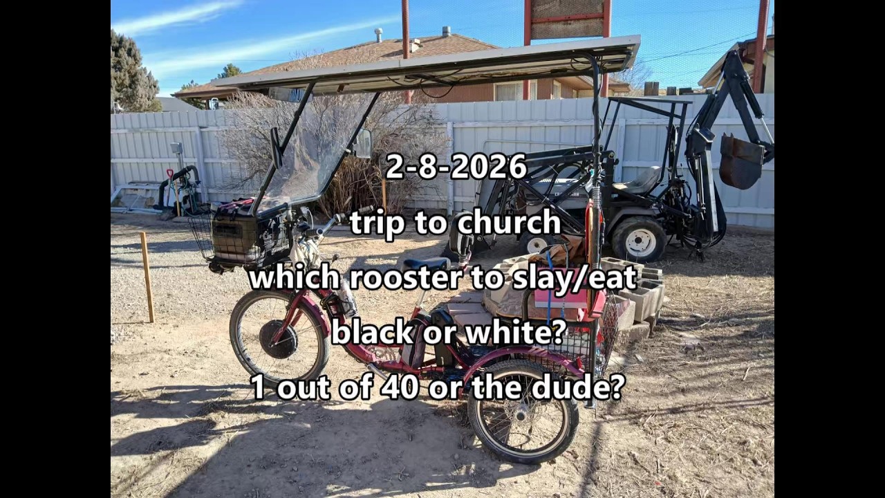 2 8 2026 trip to church which rooster to slay and eat? (:~:)