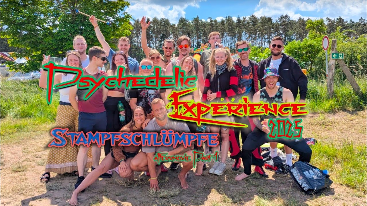 Psychedelic Experience 2025 
