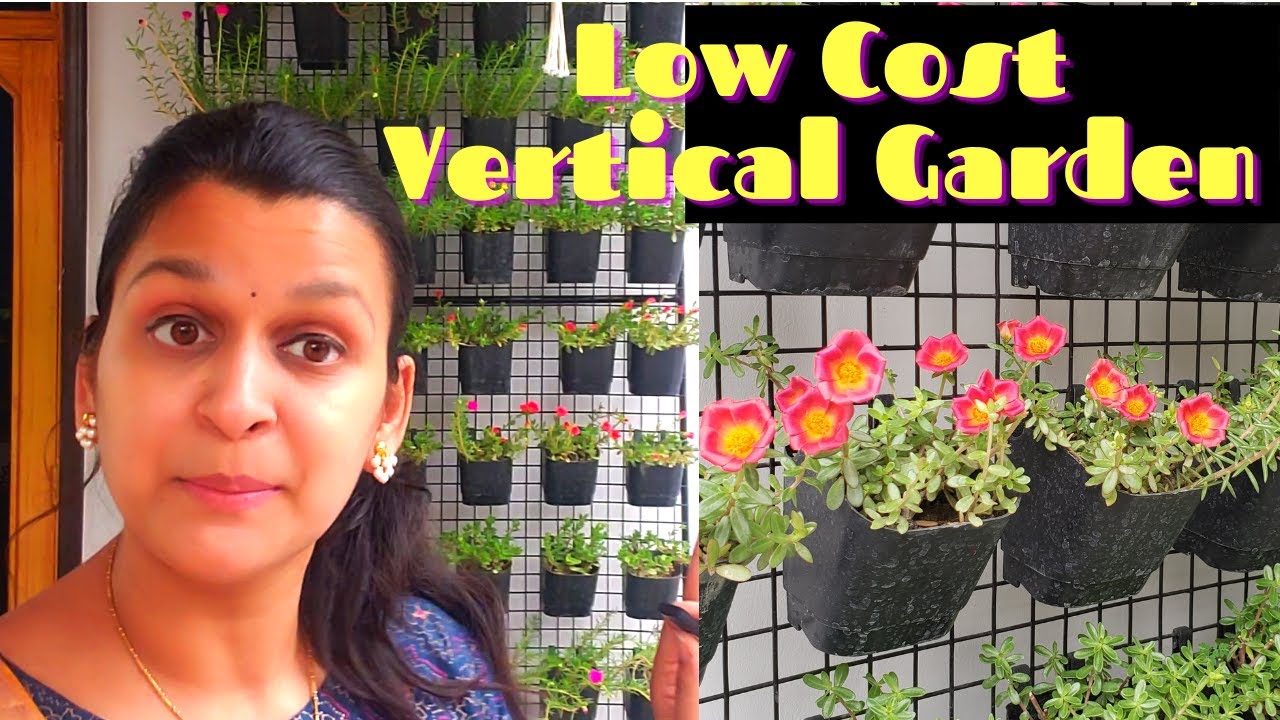 Low Cost Vertical Garden | Beautiful Small Flowering Plants🌻| Easy Ideas